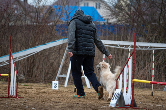 a guy runs with his dog at agility training