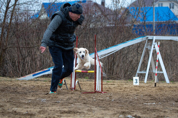 a guy runs with his dog at agility training