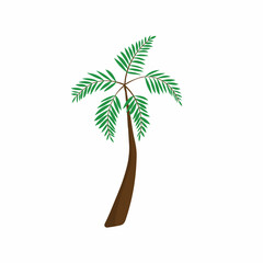 Obraz premium palm tree