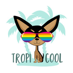 Tropi cool - funny chihuahua dog in island. Good for T shirt print, poster, card, label, travel set.