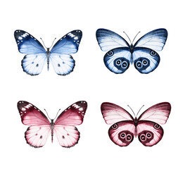 Fototapeta na wymiar Butterfly watercolour clip art for wedding invitation or greeting cards