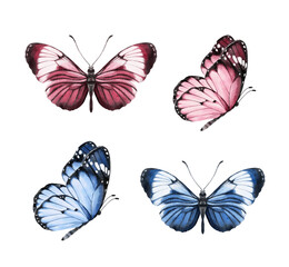 Butterfly watercolour clip art for wedding invitation or greeting cards