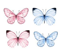 Obraz na płótnie Canvas Butterfly watercolour clip art for wedding invitation or greeting cards