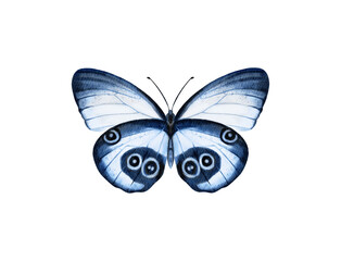 Butterfly watercolour clip art for wedding invitation or greeting cards