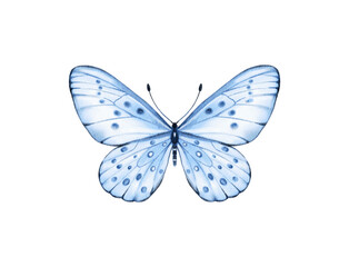 Butterfly watercolour clip art for wedding invitation or greeting cards