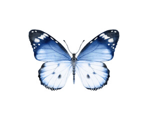 Obraz na płótnie Canvas Butterfly watercolour clip art for wedding invitation or greeting cards