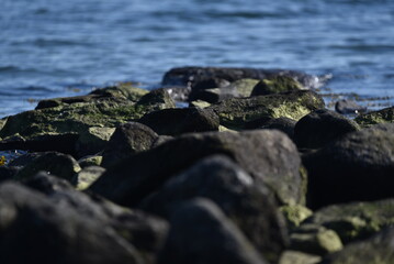 Wellenbrecher Felsen