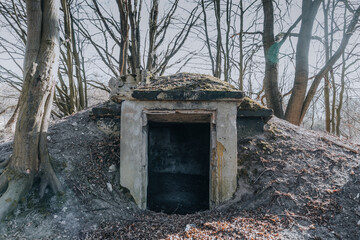 old bunker in the forest 