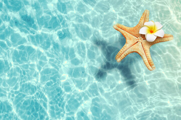 Fototapeta na wymiar Starfish and flower on the summer beach in sea water. Summer background.