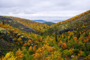 Path on the forest slope of the mountain in autumn in Khibiny, Kola Peninsula, Russia
