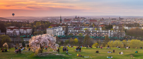 Fototapeta Widok na Kraków, panorama miasta z Kopca Krakusa, kwitnące drzewo śliwki obraz