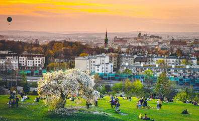 Fototapeta Widok na Kraków, panorama miasta z Kopca Krakusa, kwitnące drzewo śliwki obraz