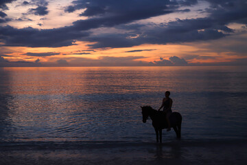 Horse ride at the sunrise