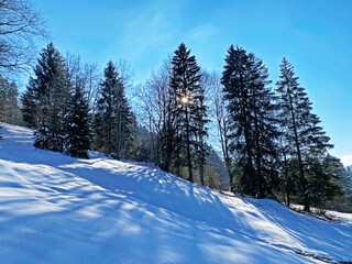 A magical play of sunlight and shadow during the alpine winter on the snowy slopes of the Churfirsten mountain range in the Obertoggenburg region, Nesslau - Switzerland / Schweiz