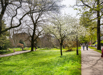Obraz premium Spring in the spa gardens Baden Baden_Germany, Europe