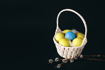 Easter holiday card with basket full of blue and yellow painted eggs on black background with pussy willow twigs. Copy space. Text place. Springtime mockup design. Traditional food. Layout. Close-up