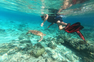 Snorkeling with a sea turtle at Gili Trawangan, Lombok, Indonesia