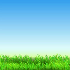 Plakat Field Green Grass Countryside Landscape Vector. Field Nature With Growing Fresh Plant And Blue Clean Sky. Park Lawn Or Agricultural Farm Meadow Land Template Realistic 3d Illustration