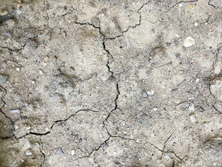 Cracked soil because of drought.