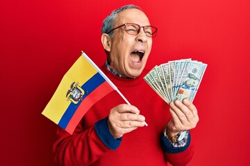 Handsome senior man with grey hair holding ecuador flag and dollars angry and mad screaming...