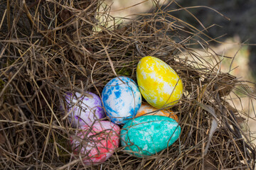 Happy Easter, colorful eggs in nest