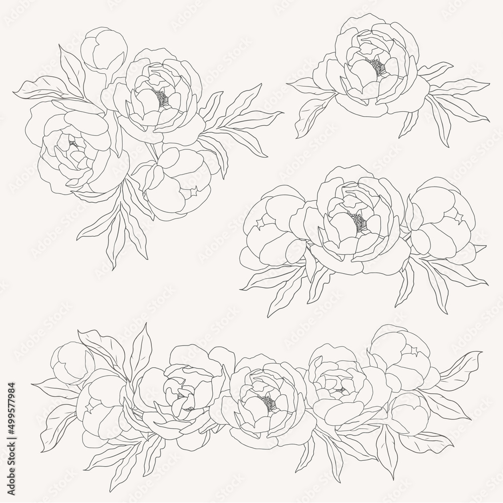 Wall mural doodle line art peony flower bouquet elements collection