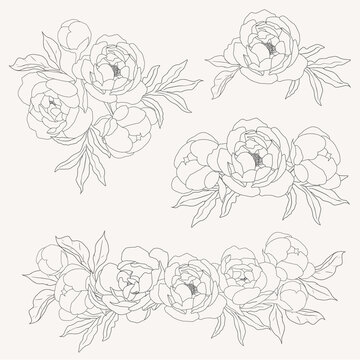 doodle line art peony flower bouquet elements collection
