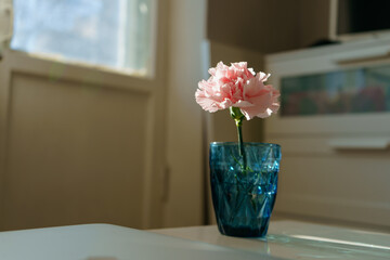 A pink spring flower stands in a blue vase on a table in the sunlight