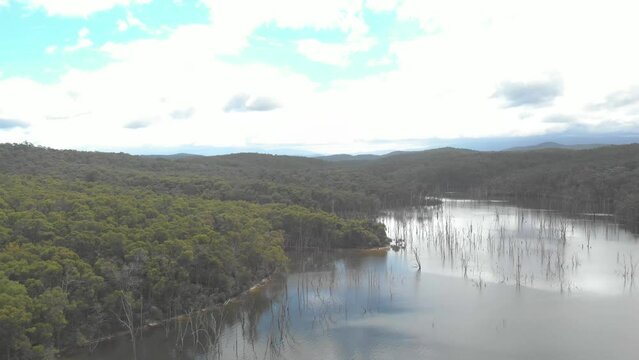 Aerial shot rising up over a lake in southern Australia with dead gum trees.