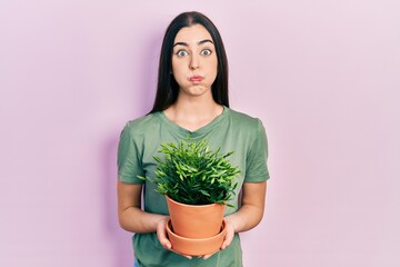 Beautiful woman with blue eyes holding green plant pot puffing cheeks with funny face. mouth...