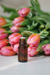 Tulip essential oil in glass jar. Aroma oil and pink tulips on wooden background.