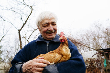 a gray-haired elderly man holds a brown chicken in his hands and smiles