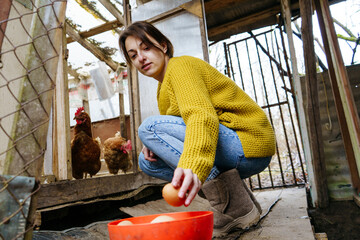 a 25-year-old young woman in a yellow sweater collects fresh eggs in a chicken coop on a family farm © NADIN