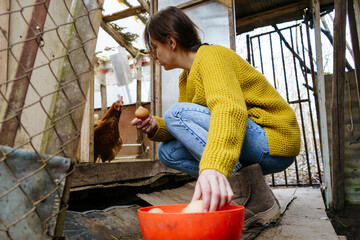 a 25-year-old young woman in a yellow sweater collects fresh eggs in a chicken coop on a family farm © NADIN