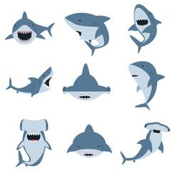 White shark and Hammer head shark set - obrazy, fototapety, plakaty