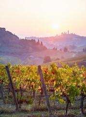 Beautiful valley in Tuscany, Italy. Vineyards and landscape with San Gimignano town at the...