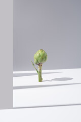 Una alcachofa cruda en pie sobre una mesa blanca y fondo gris. Minimalista	