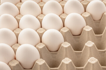 Fragment of a tray with white chicken eggs.