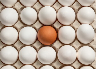 Fragment of a tray with brown and white chicken eggs.