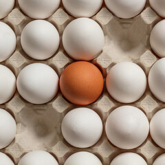 Fragment of a tray with brown and white chicken eggs. Top view.