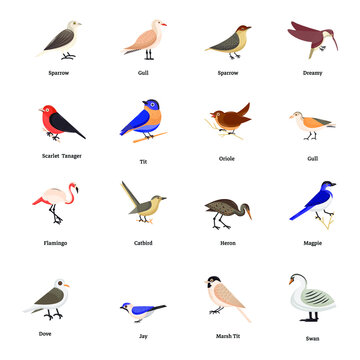 Collection of Birds Isometric Icons 