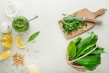 Wild garlic ramson pesto