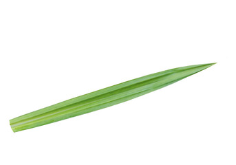 Pandanus leaf cut out outline green leaf isolated on white background, fresh