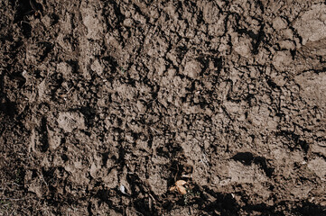 Background of dug up earth, soil. Chernozem, top view.
