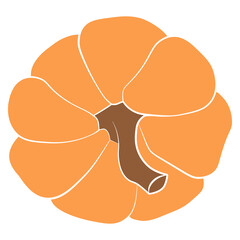 Pumpkin icon vector illustration. Autumn Halloween or Thanksgiving pumpkin symbol in flat design, simple, outline silhouette isolated on white background