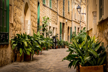 Idyllic narrow alley lined with potted plants located in the old town of Soller vanishing in a...