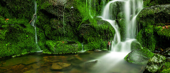 Grüner Wasserfall im Wald