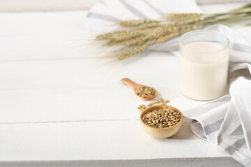 barley milk in a glass and barley grains in a spoon on wooden background. non dairy milk,...