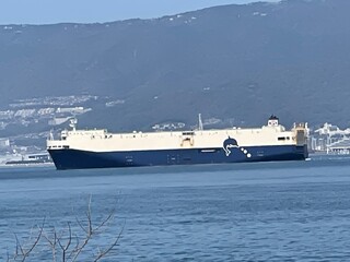 cruise ship in port
big ship 
ship 
riverside 
blue sky 
blue 
maishima 
舞洲
青空
青
空
船
大きな船
港