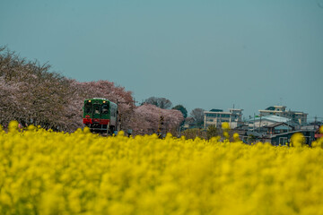 真岡鉄道　’２２　春